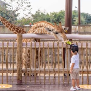 Zoo